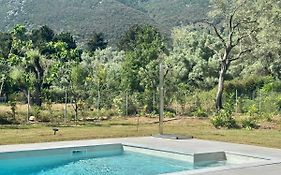 Splash Suites With Private Pools